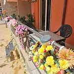 Rainbow 2 7 شقة ساني بيتش