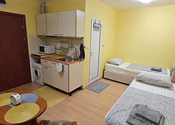 Rainbow 2 7 阳光海滩